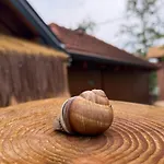 Beaver - Dabrova Koliba * Bijeljina
