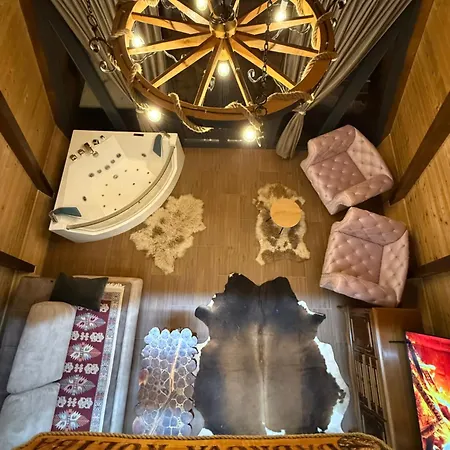 Beaver - Dabrova Koliba