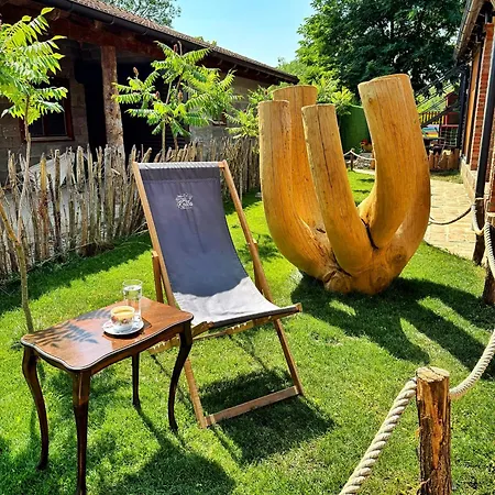 Beaver - Dabrova Koliba