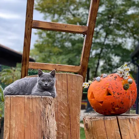 別荘 Beaver - Dabrova Koliba