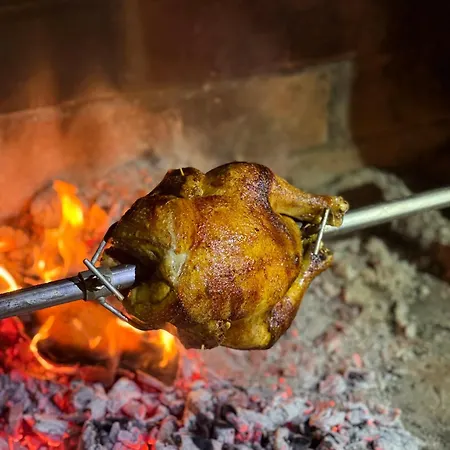 Beaver - Dabrova Koliba *