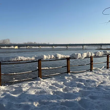 Beaver - Dabrova Koliba