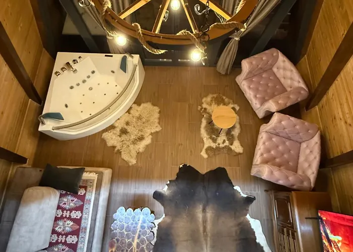 Beaver - Dabrova Koliba