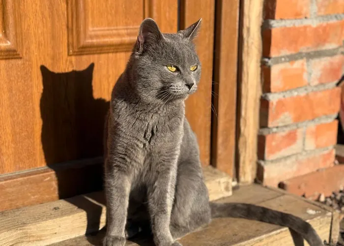Beaver - Dabrova Koliba Ferienhaus Bijeljina