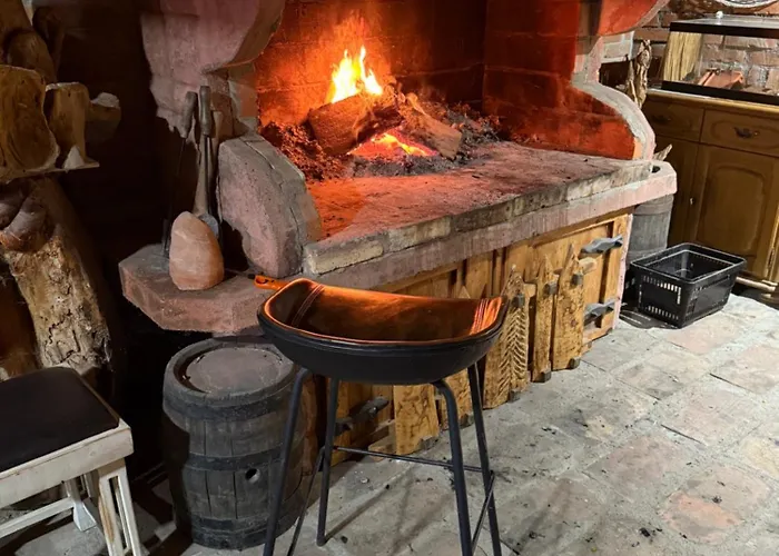 Beaver - Dabrova Koliba Bijeljina