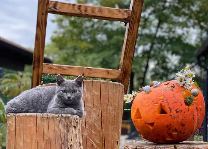 Ferienhaus Beaver - Dabrova Koliba