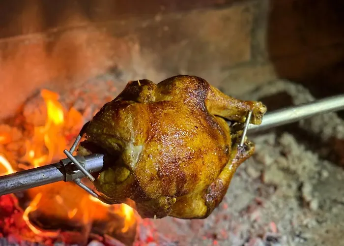 Beaver - Dabrova Koliba *