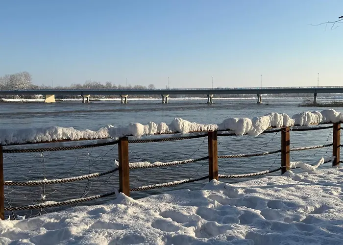 Beaver - Dabrova Koliba