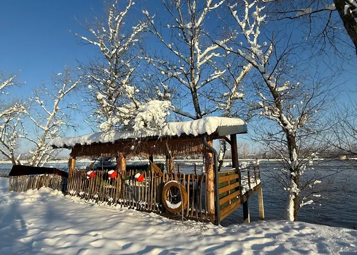 Beaver - Dabrova Koliba *