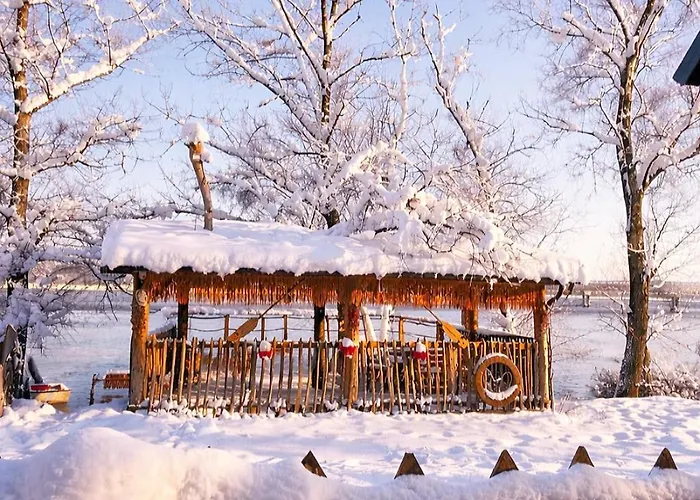 Beaver - Dabrova Koliba
