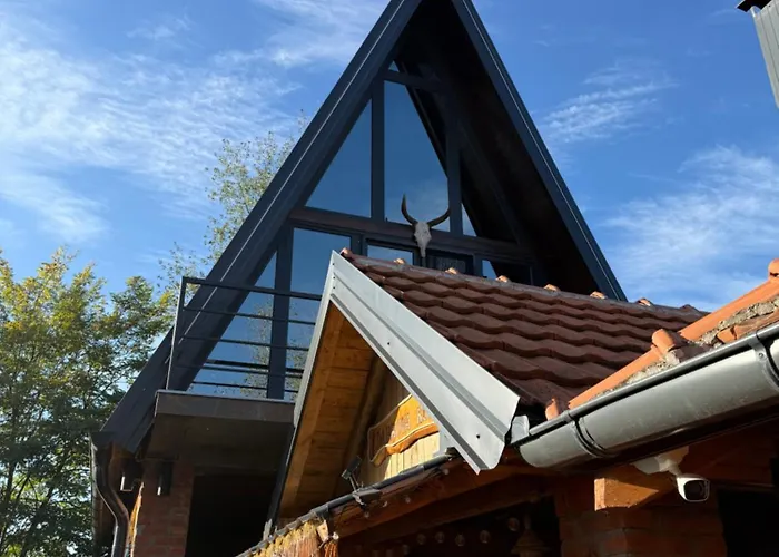 Beaver - Dabrova Koliba