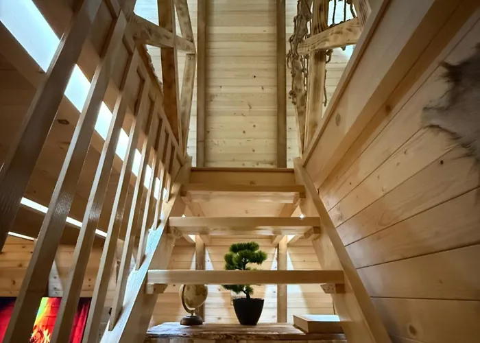 Beaver - Dabrova Koliba *